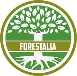 Corpoforestalia